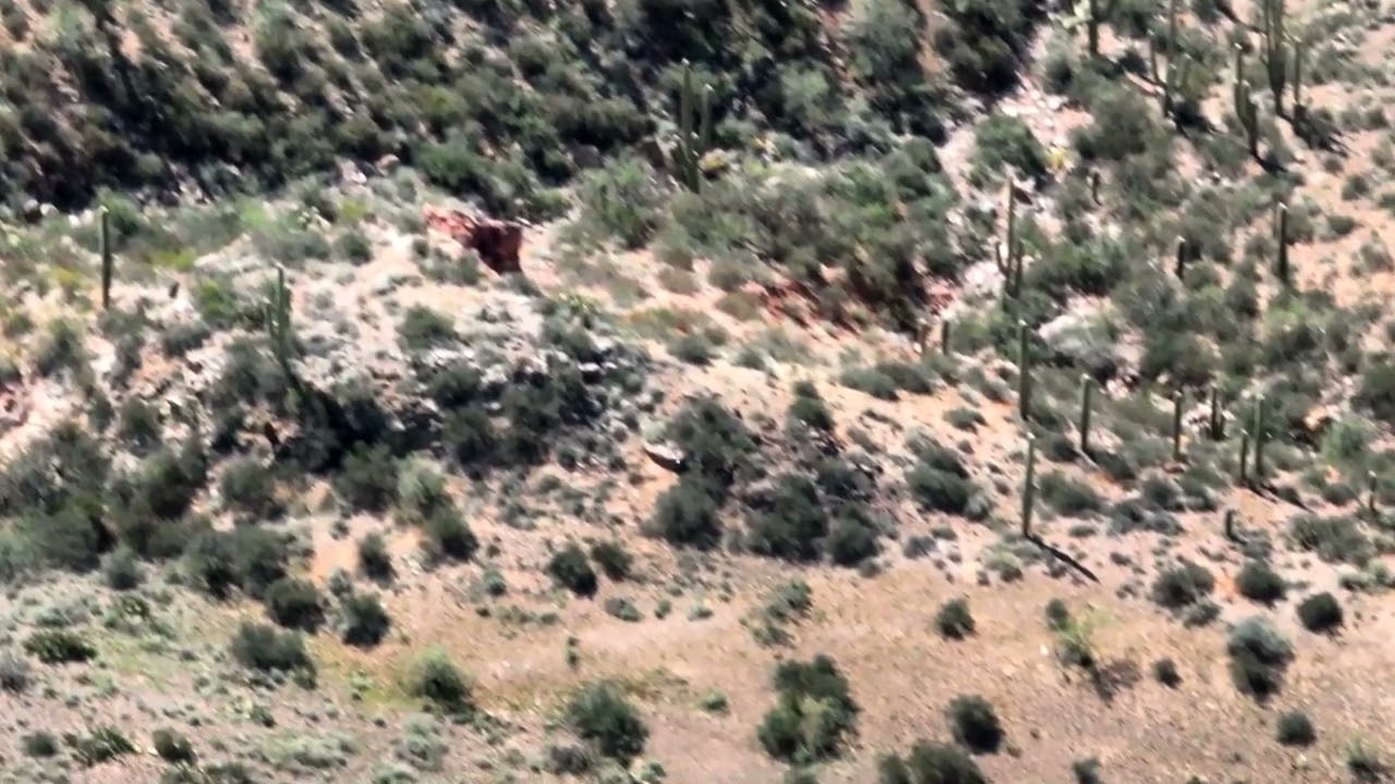 Castle Hot Springs, Arizona UFO